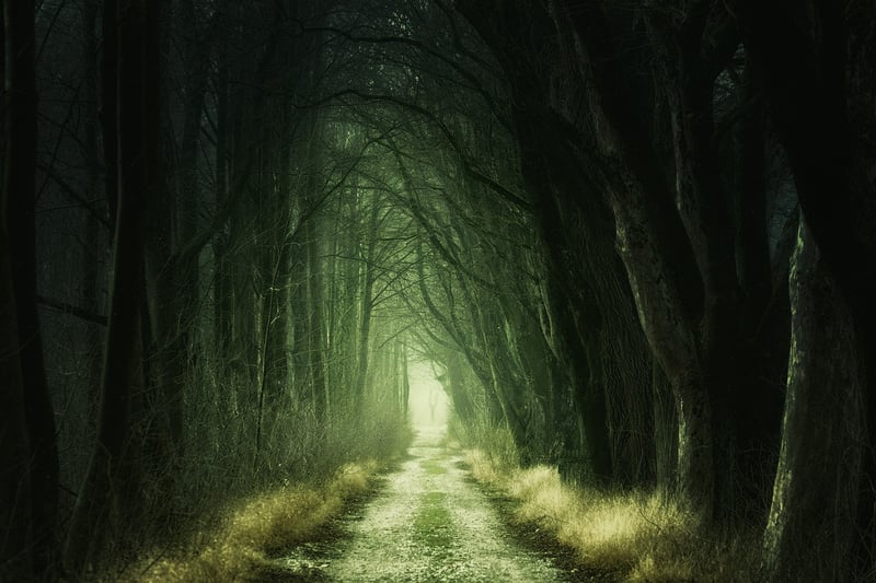 Enchanting Designs